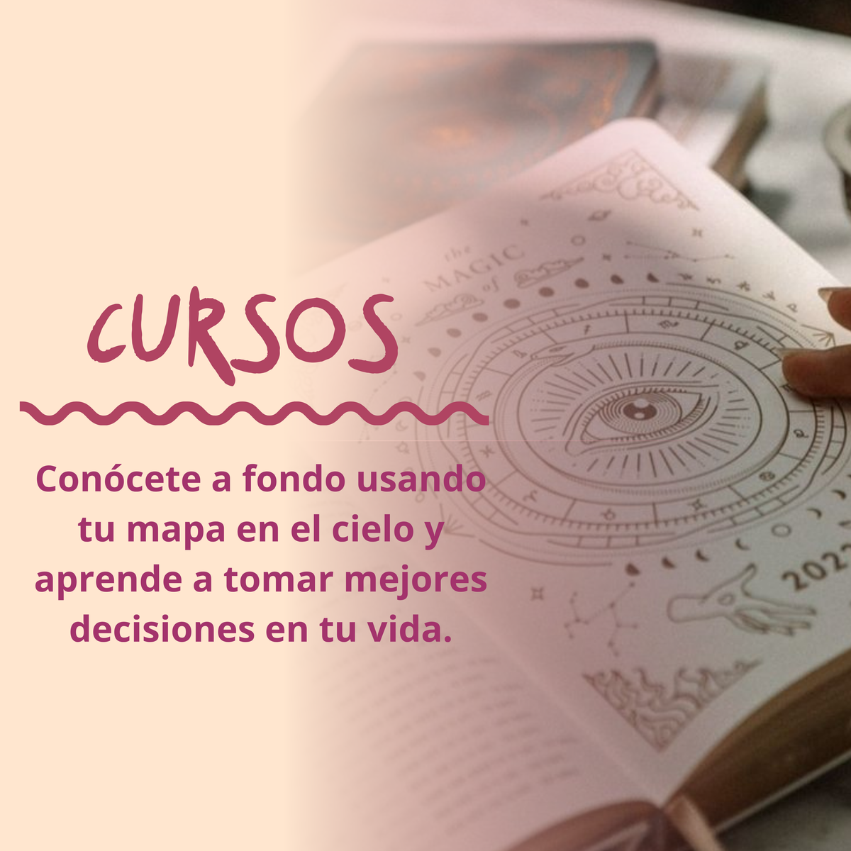 Ir a cursos